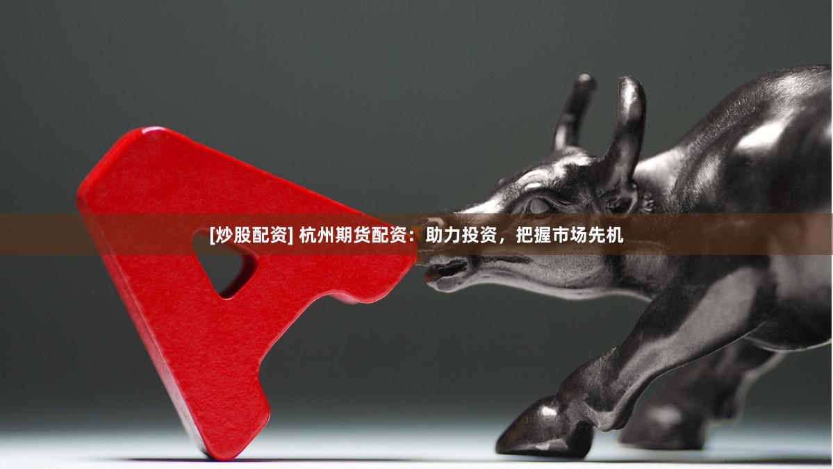 [炒股配资] 杭州期货配资：助力投资，把握市场先机